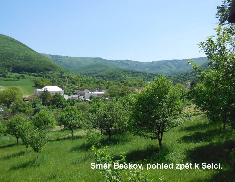 img00045.jpg