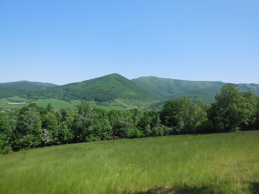 img00046.jpg