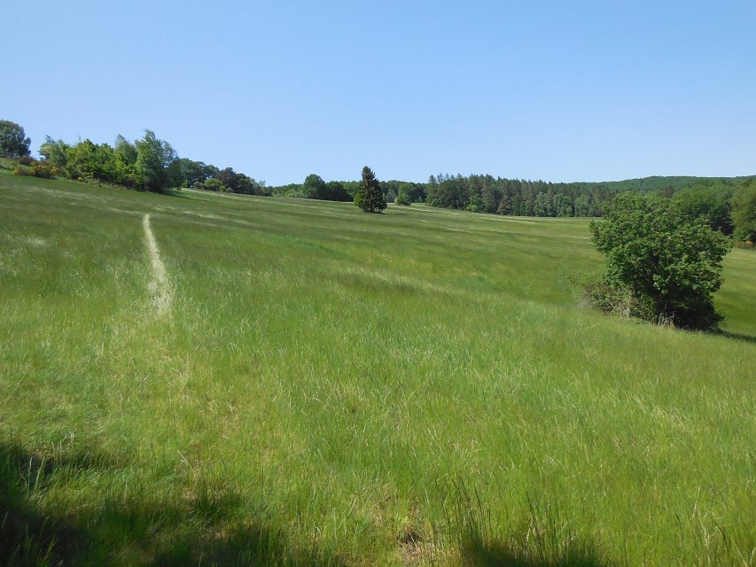 img00048.jpg