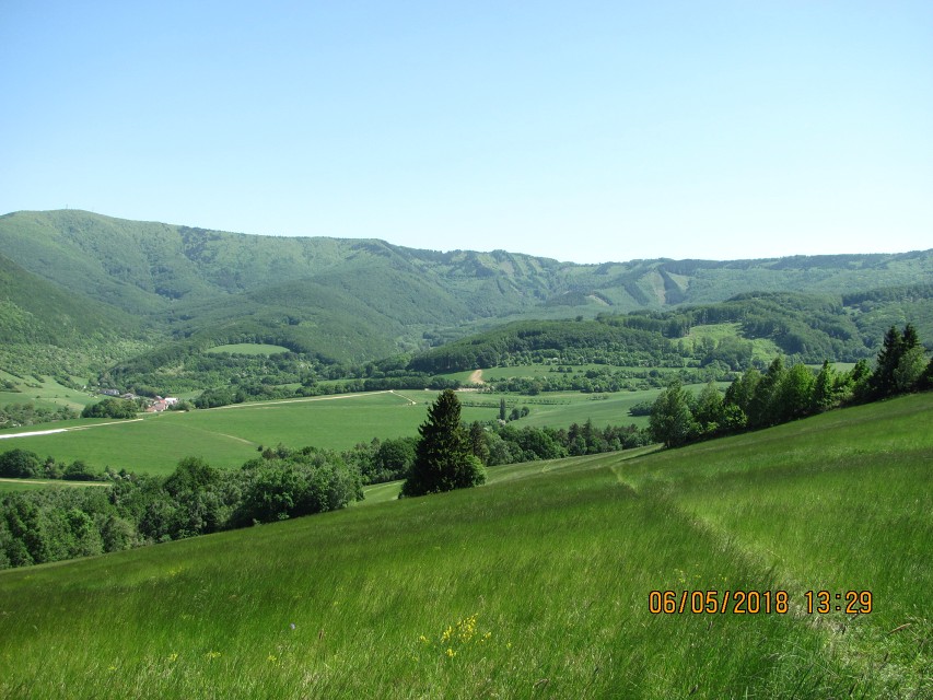 img00050.jpg