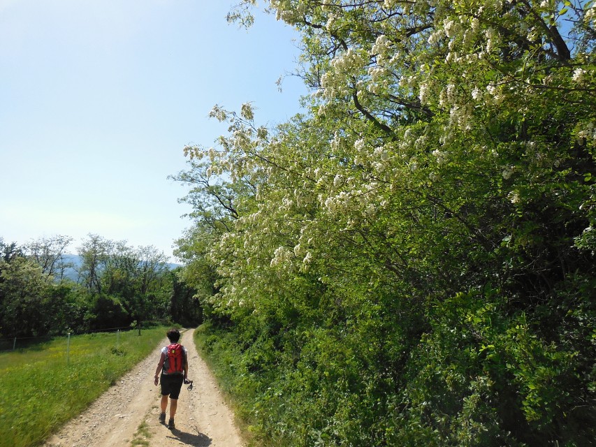 img00055.jpg