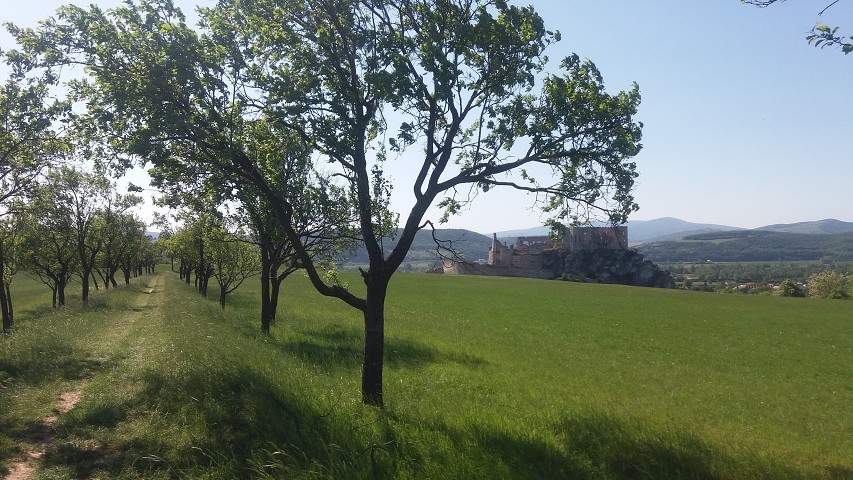 img00057.jpg