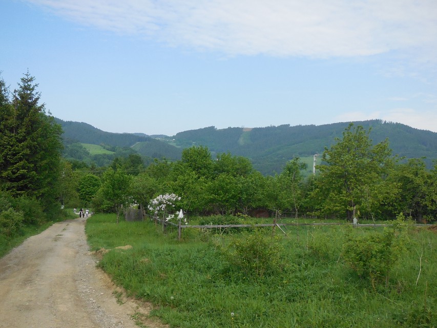 img00008.jpg