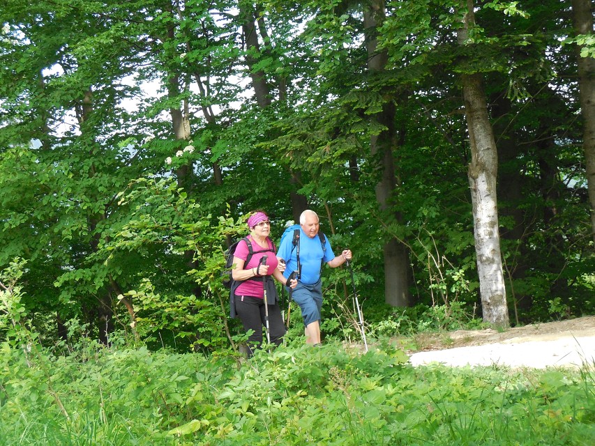 img00009.jpg