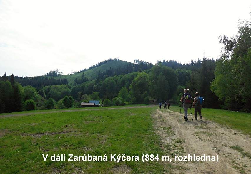 img00010.jpg