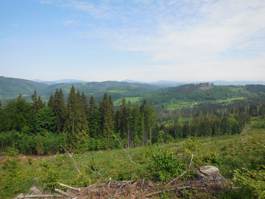 img00015.jpg