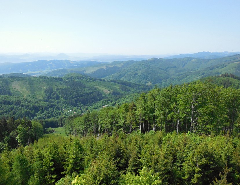img00019.jpg