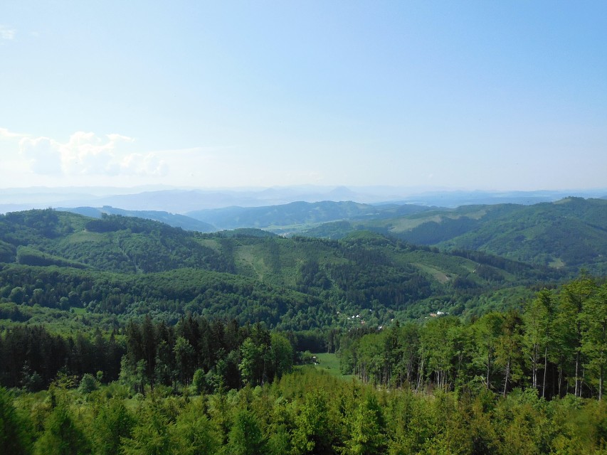 img00020.jpg