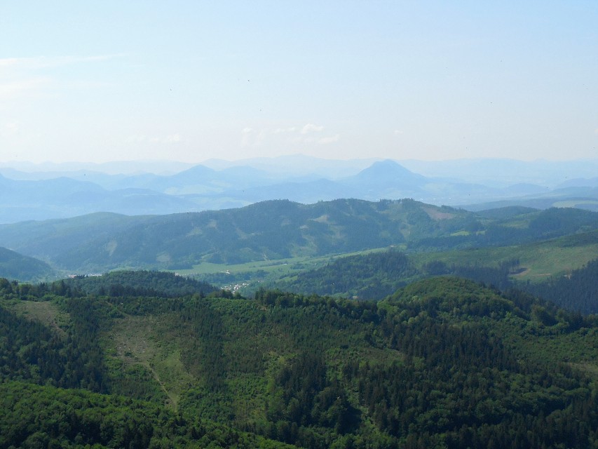 img00021.jpg
