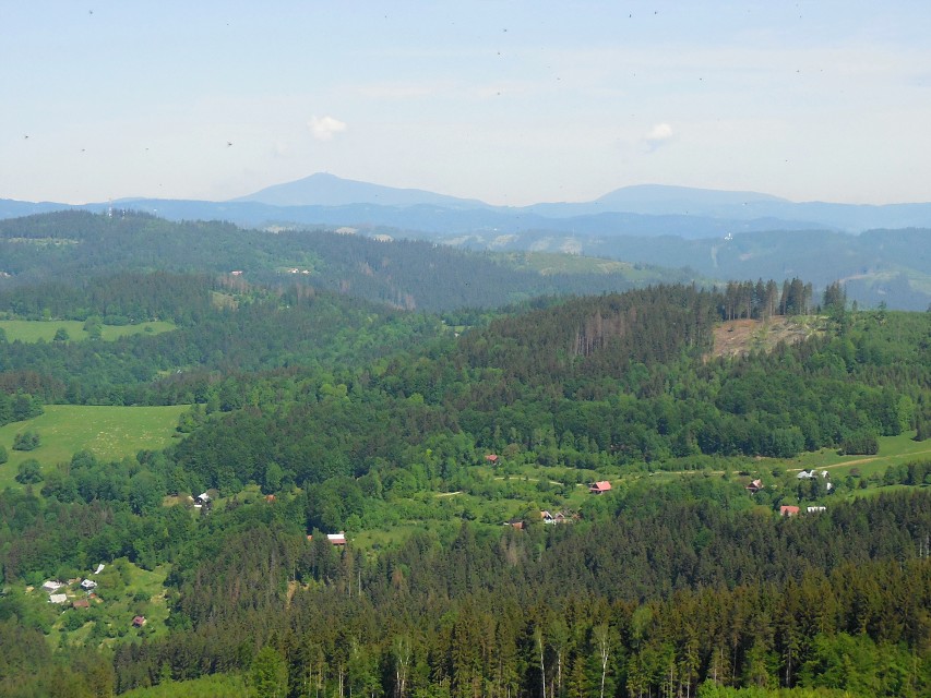 img00022.jpg