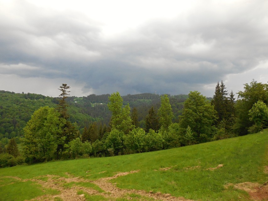 img00032.jpg