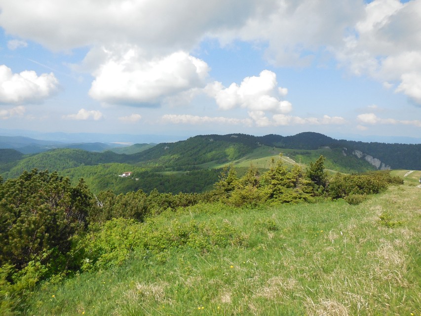 img00012.jpg