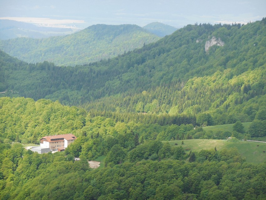 img00013.jpg