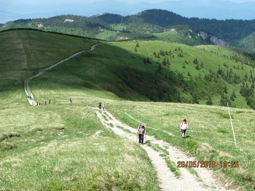 img00015.jpg