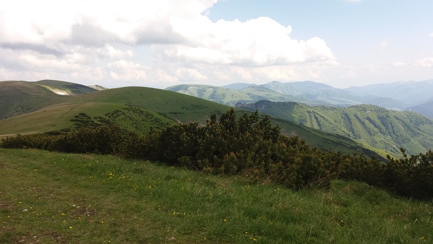 img00027.jpg