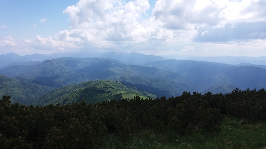 img00028.jpg