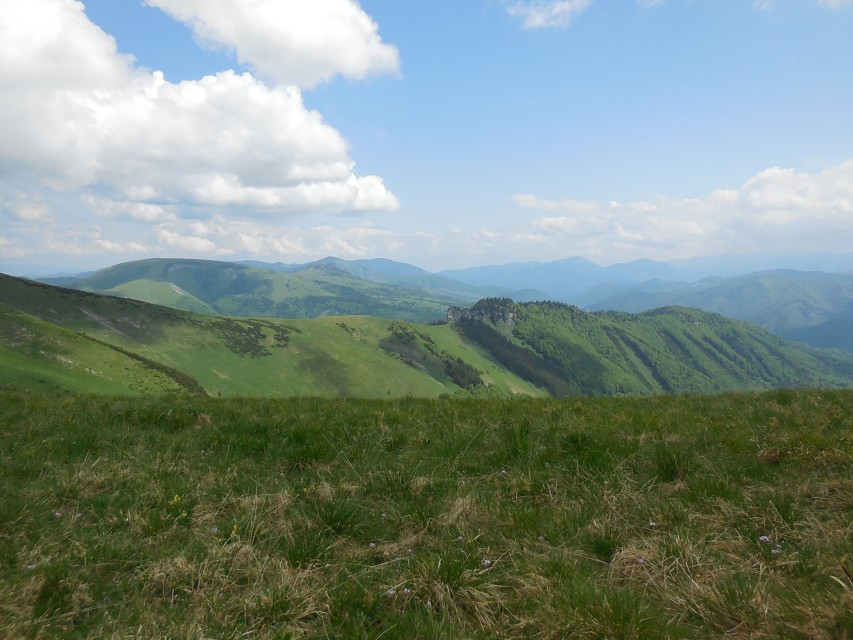 img00035.jpg
