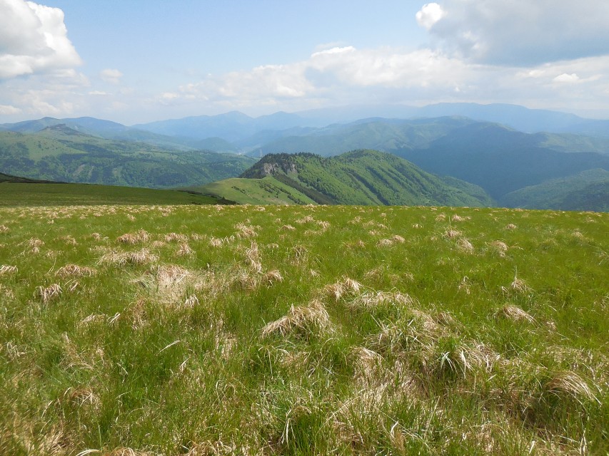 img00036.jpg
