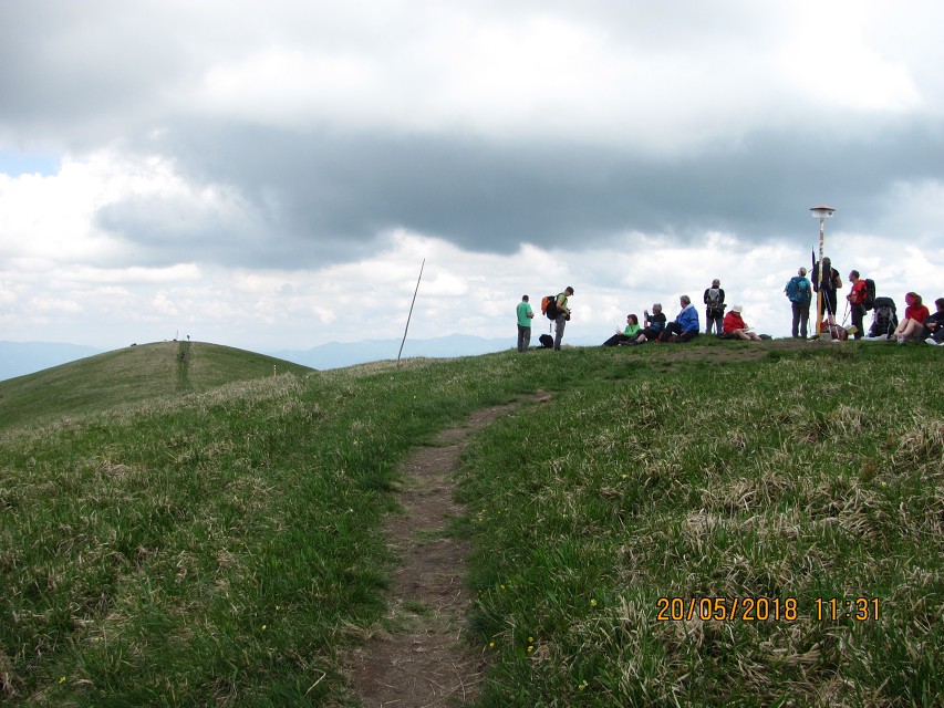 img00037.jpg