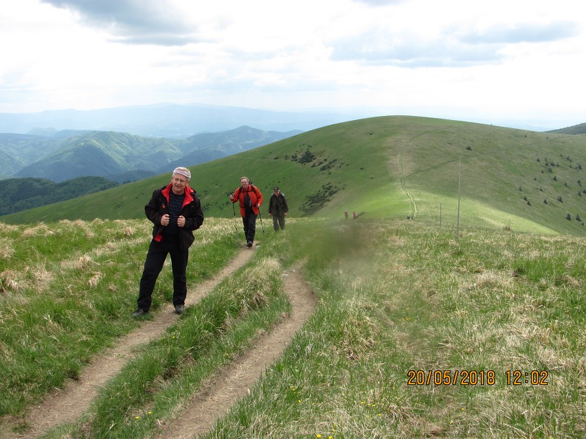 img00047.jpg