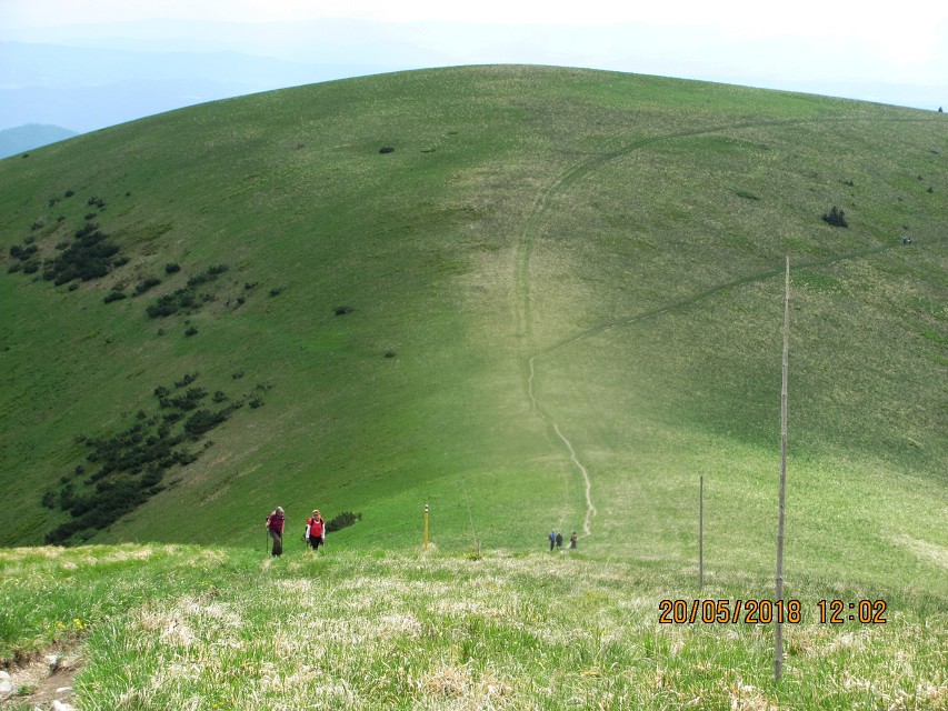 img00048.jpg