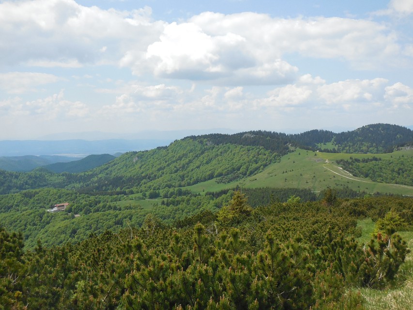 img00054.jpg