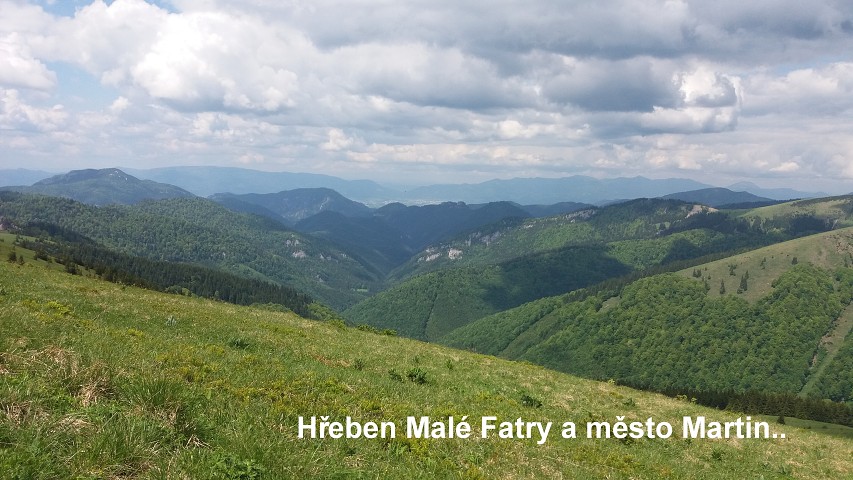 img00057.jpg