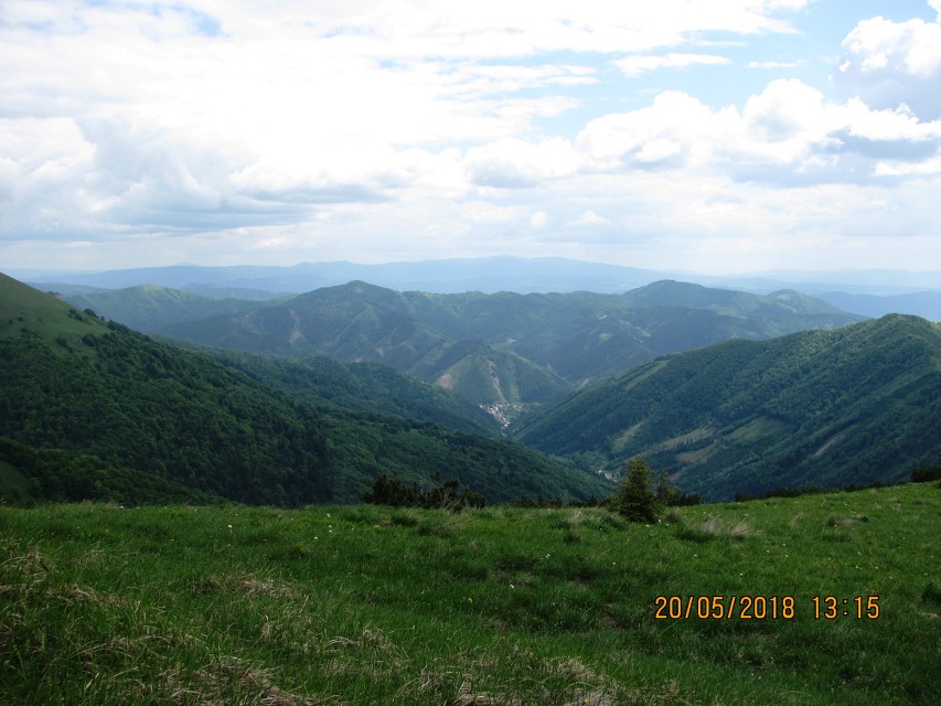 img00064.jpg