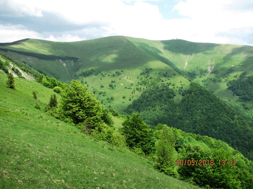 img00067.jpg