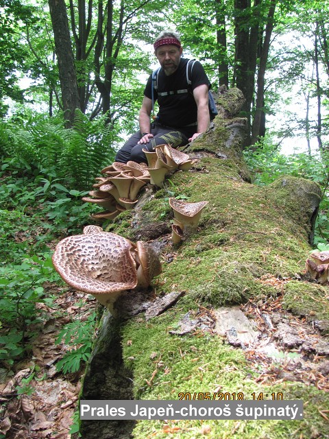 img00074.jpg