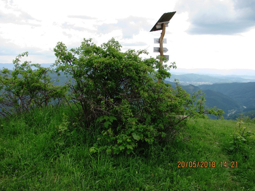 img00079.jpg