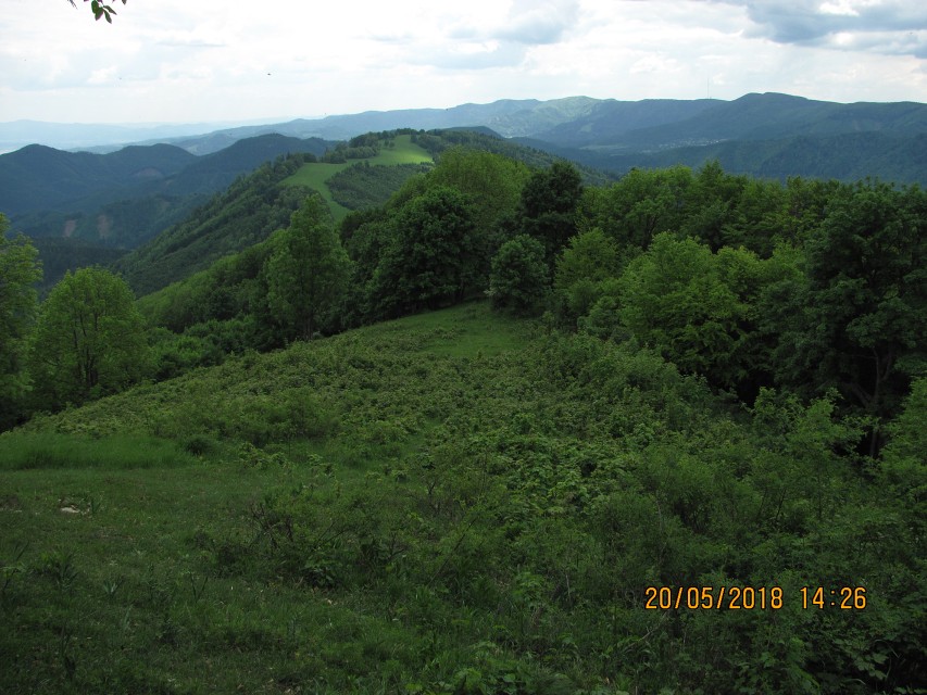 img00083.jpg