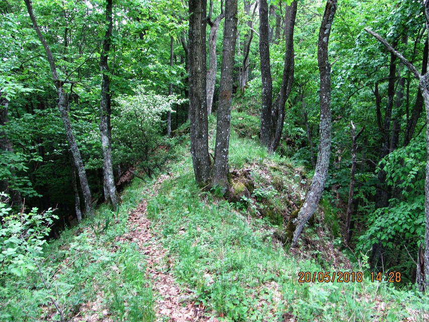 img00084.jpg