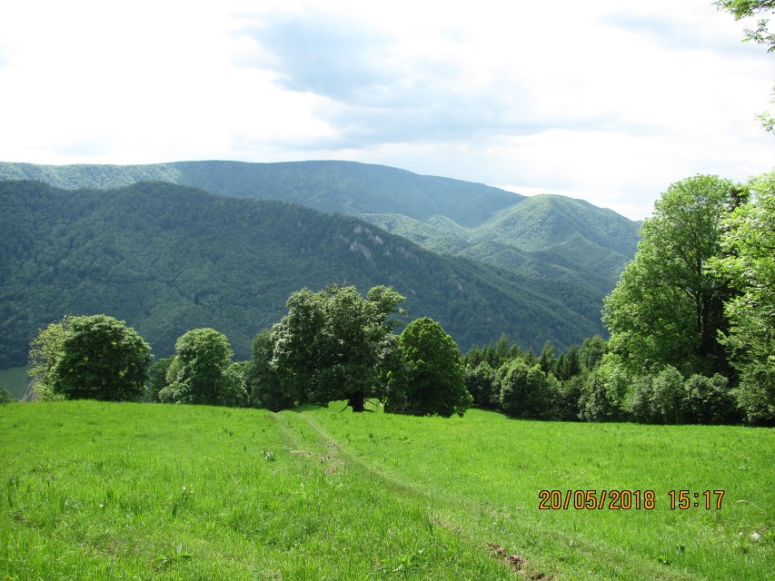 img00089.jpg