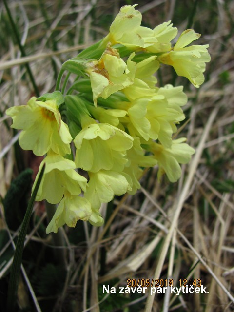 img00092.jpg