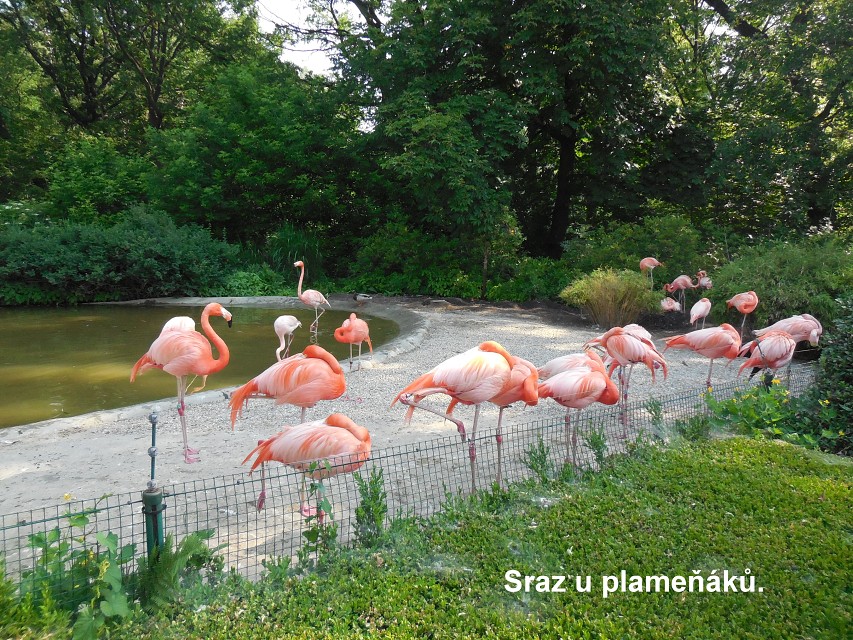 img00002.jpg