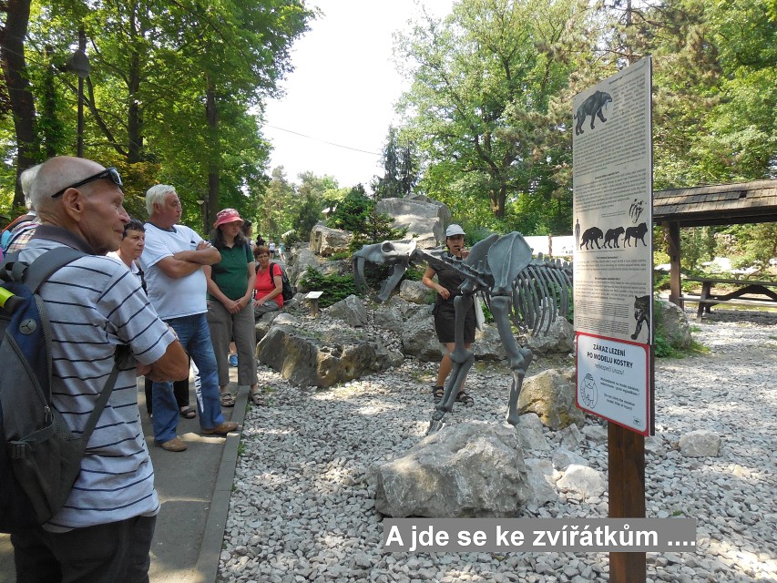 img00013.jpg