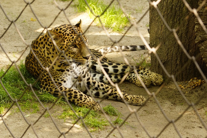 img00015.jpg