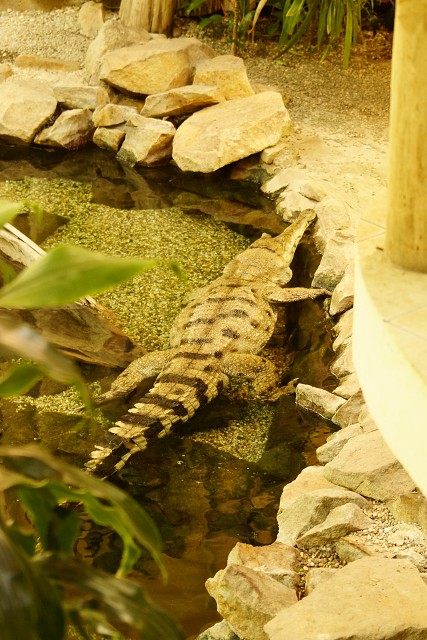 img00019.jpg
