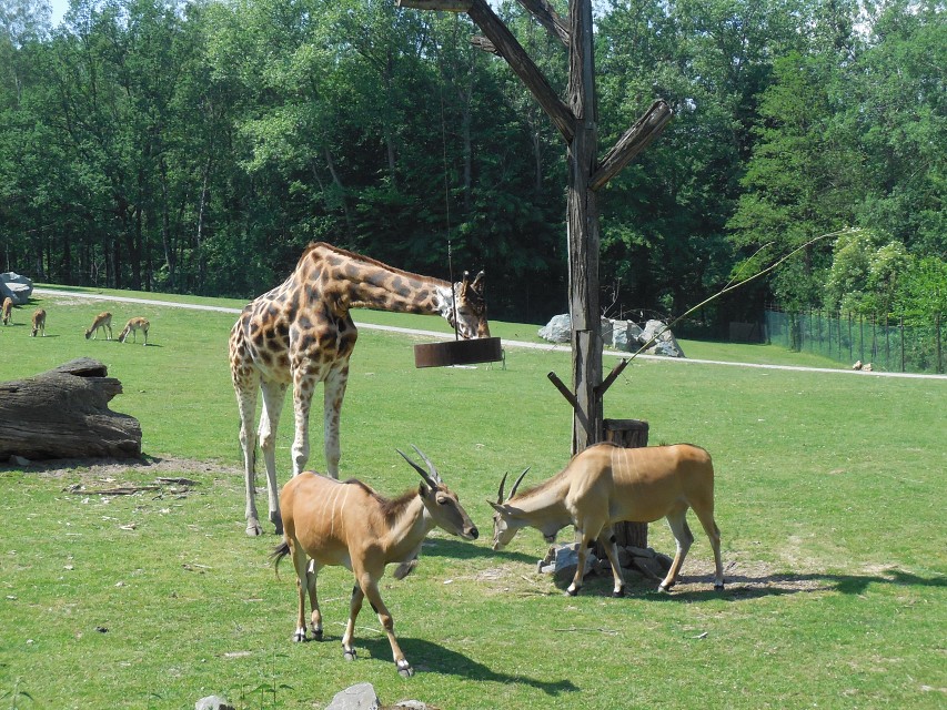 img00028.jpg