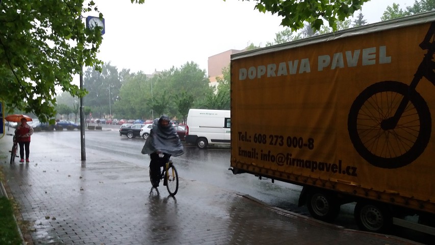 img00002.jpg