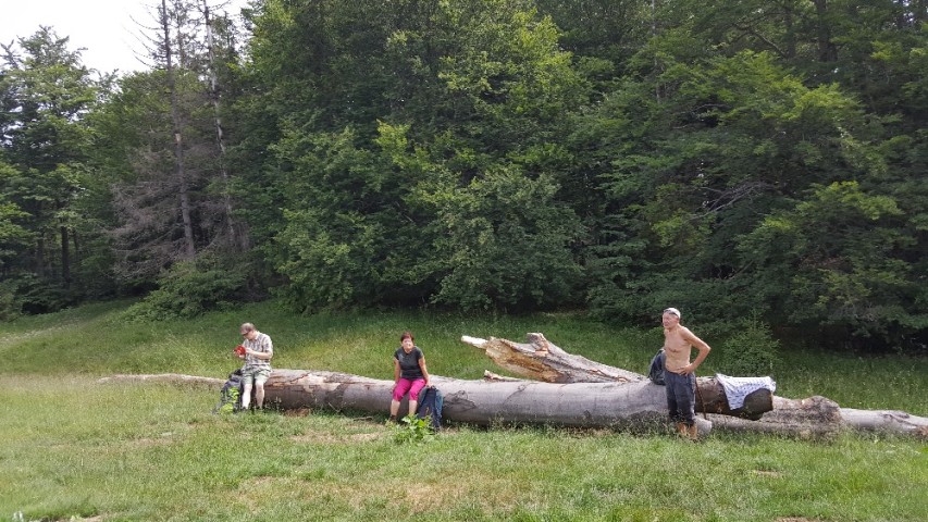 img00005.jpg