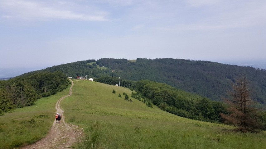 img00006.jpg