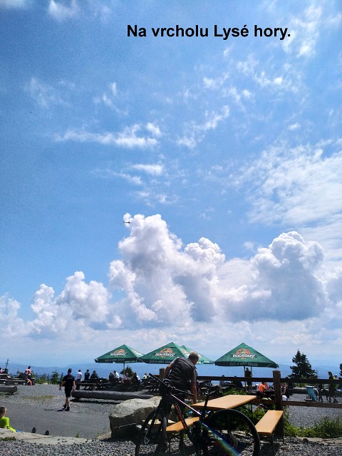 img00005.jpg
