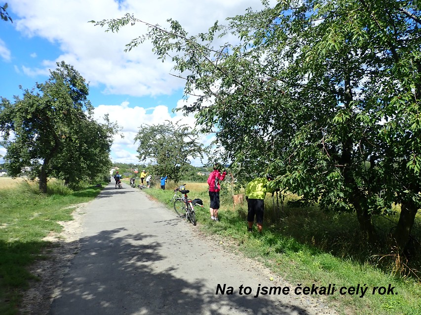 img00008.jpg