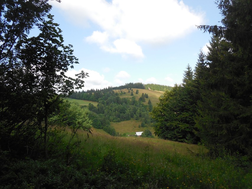 img00002.jpg