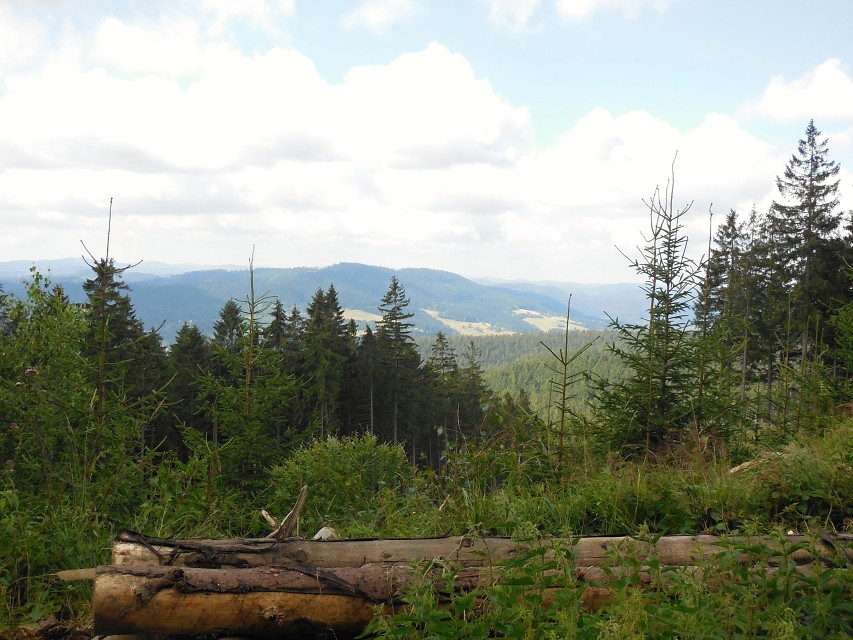 img00010.jpg
