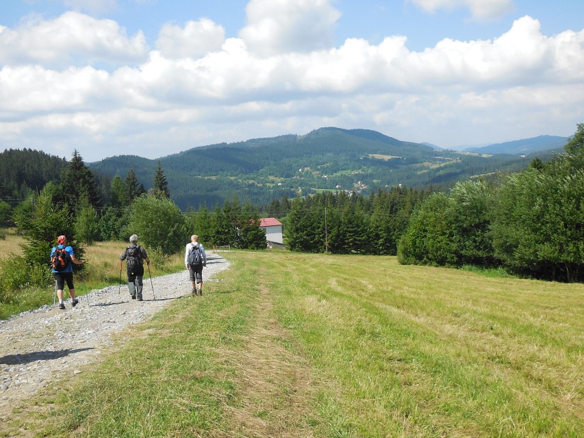 img00013.jpg