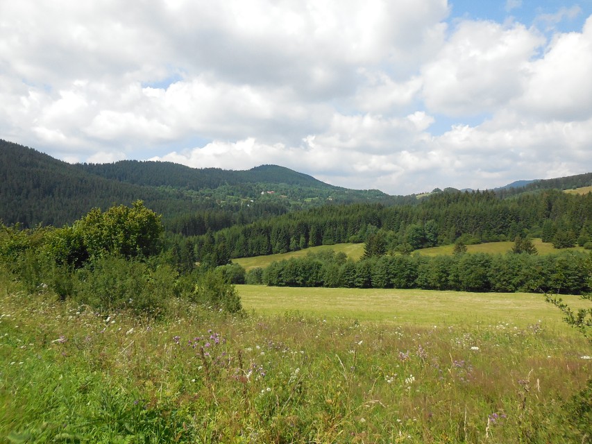 img00014.jpg