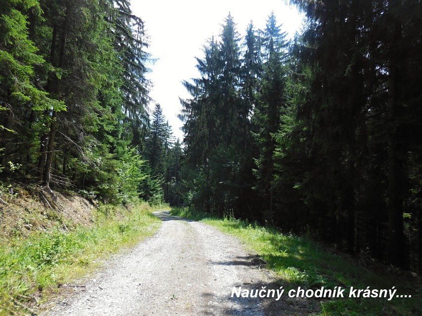 img00020.jpg